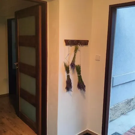 Wellness Apartman Bela Decin Exterior photo